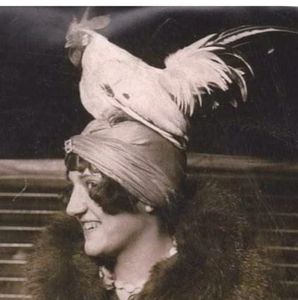 Meet your Posher, Lori